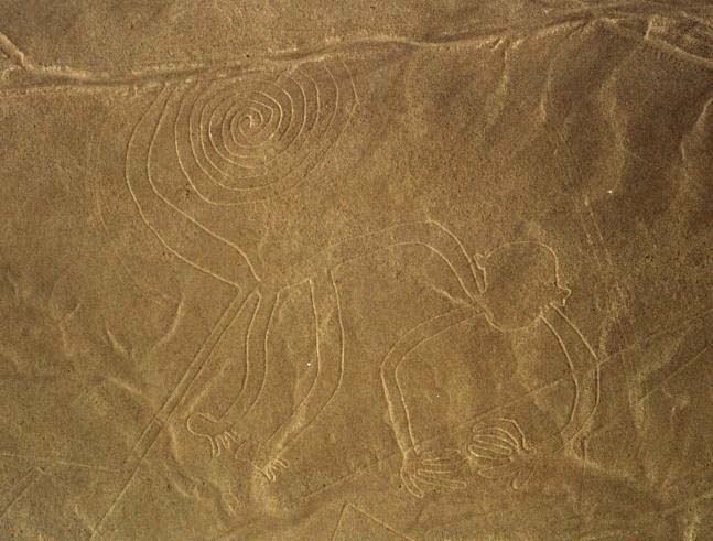 Nazca monkey