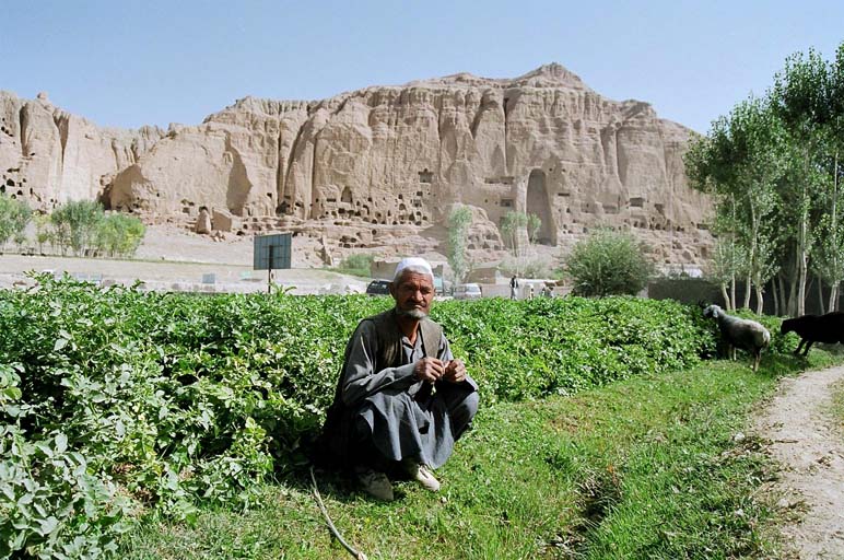 Bamiyan goatherd