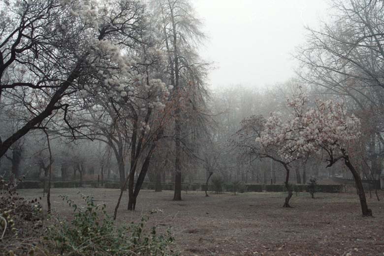 Almaty park