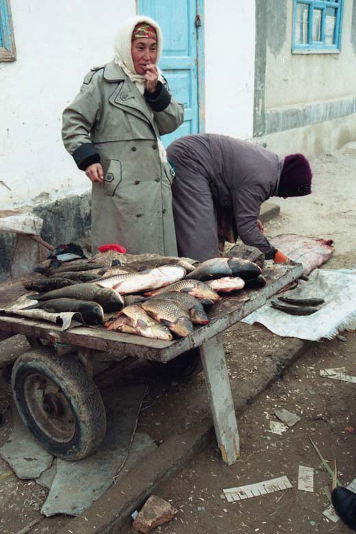 Moynaq fish market