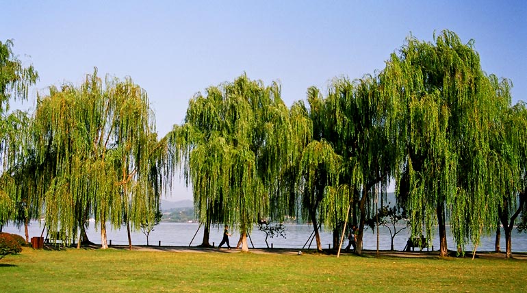 Hangzhou West Lake