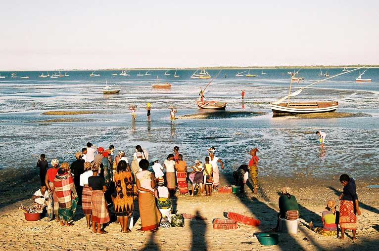 Maputo fish market