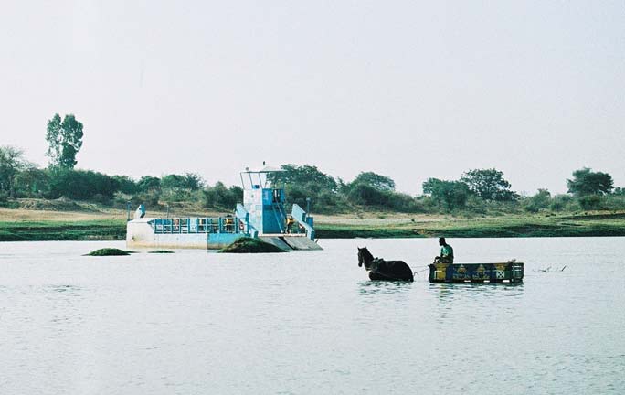 Djenne ferry horse