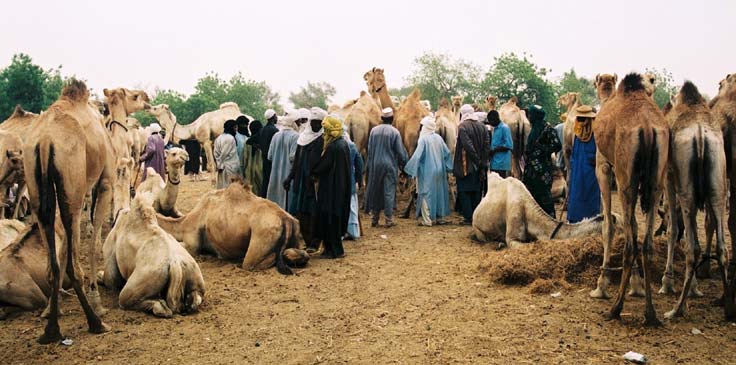 Baleyara market